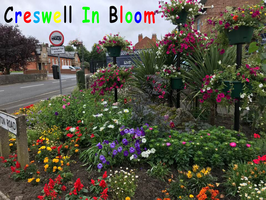 Creswell in Bloom